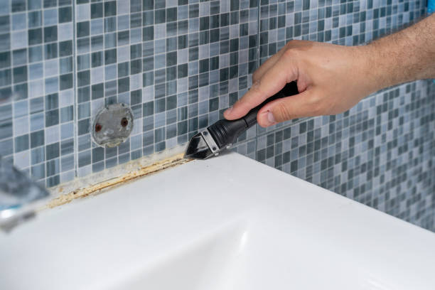 Best DIY Mold Remediation Support Services in Lakeland, NY