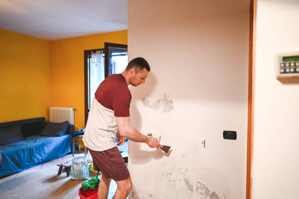 Best Mold Remediation for Specific Building Types in Lakeland, NY